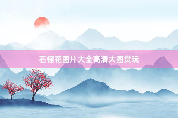 石榴花图片大全高清大图赏玩