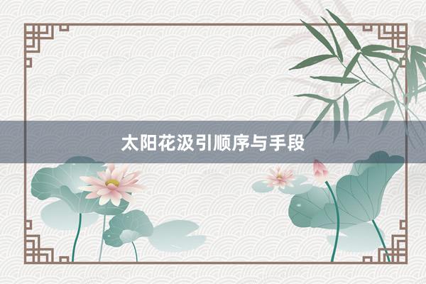 太阳花汲引顺序与手段