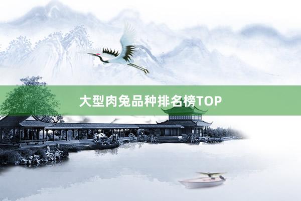 大型肉兔品种排名榜TOP